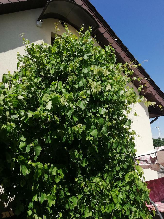 Sloneczne Zacisze Apartment Wicko  Exterior photo
